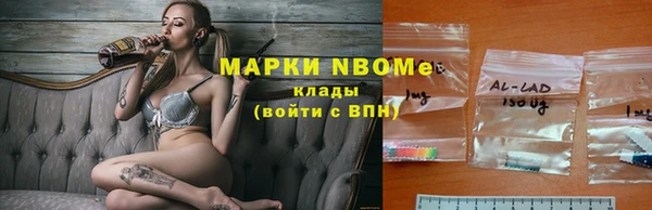 ГАЛЛЮЦИНОГЕННЫЕ ГРИБЫ Кодинск