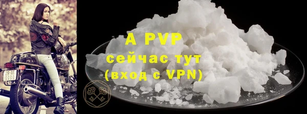 спиды Козельск
