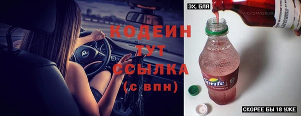 ГАЛЛЮЦИНОГЕННЫЕ ГРИБЫ Кодинск