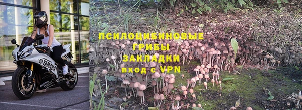 спиды Козельск