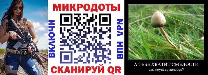 что такое наркотик  Королёв  Галлюциногенные грибы Psilocybine cubensis 